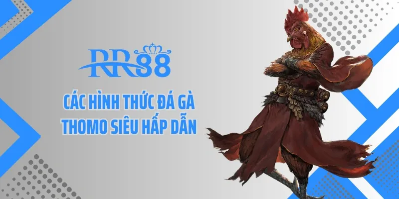 Các hình thức đá gà Thomo siêu hấp dẫn