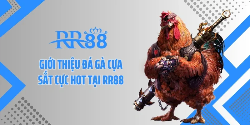 Giới thiệu đá gà cựa sắt cực hot tại RR88