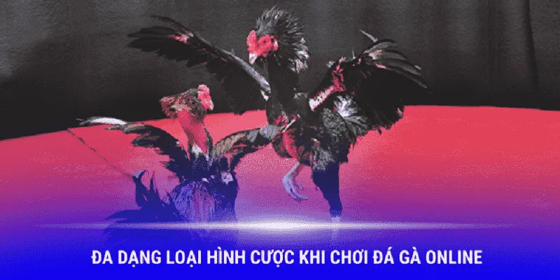 Các hình thức đá gà RR88 lôi cuốn mọi sư kê