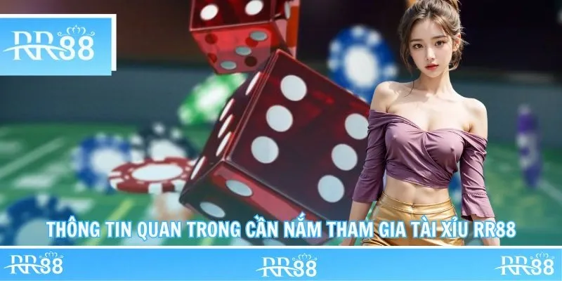 Thông tin quan trong cần nắm tham gia Sicbo RR88