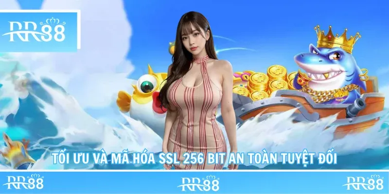 Tối ưu và mã hóa SSL 256 bit an toàn tuyệt đối